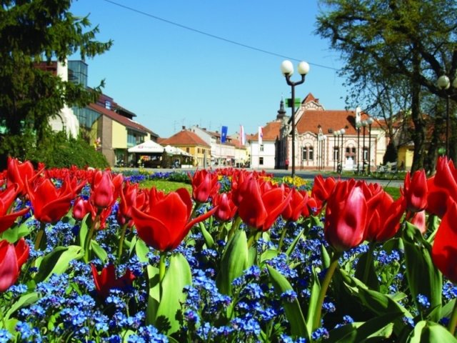 Proljetni cjelodnevni izlet u Meimurje 