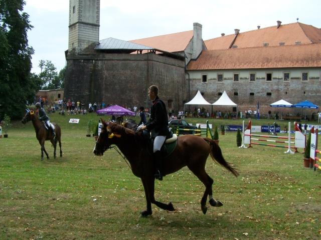 Revive history city of Zrinski- Moje drago serce